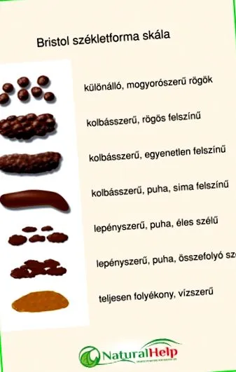 разнообразни чревни