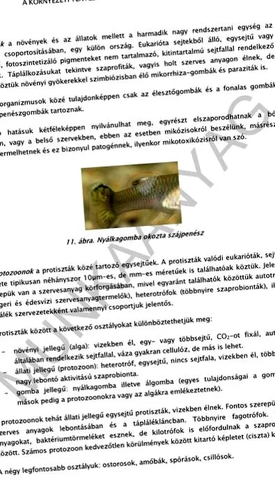 paraziți descărcare