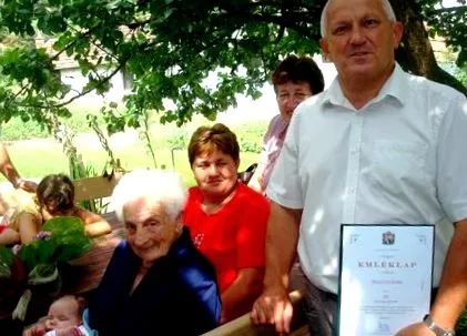 домашня домашня