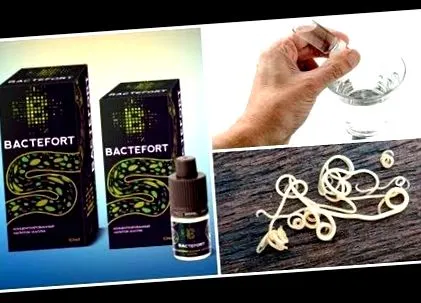 bactefort bactefort