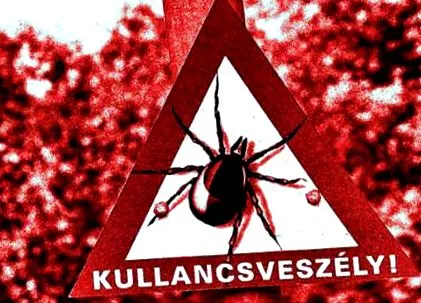 половината половината