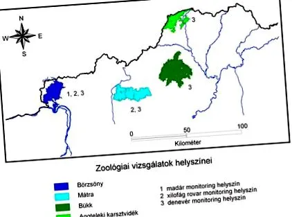 цілі критерії