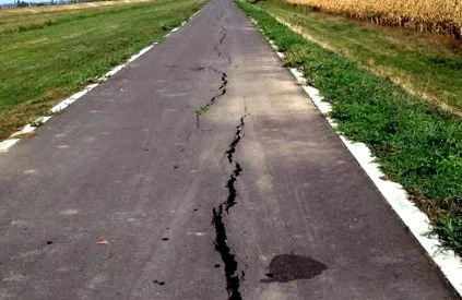 пътека пътека
