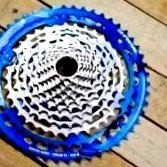 specialized