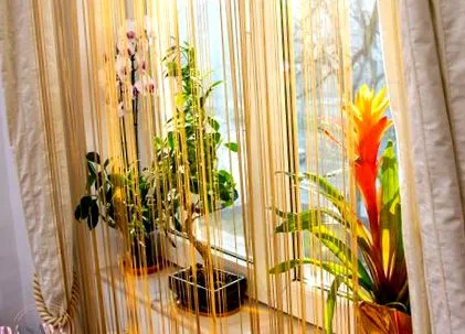 narancsbőrnek