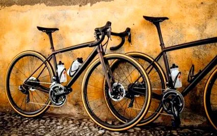 specialized