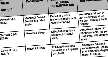 mindea