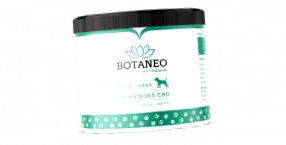 Cannabis Sativa