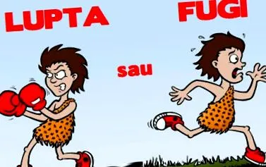 стреса стреса