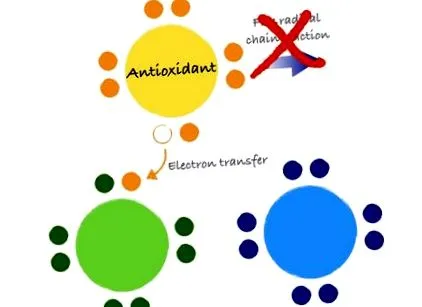 antioxidanty antioxidanty