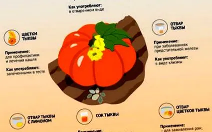 napsütéses