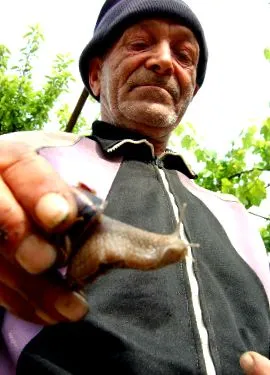 személyes adatok