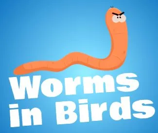 vermox vermox