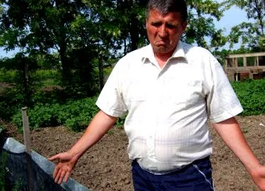 ilișoi