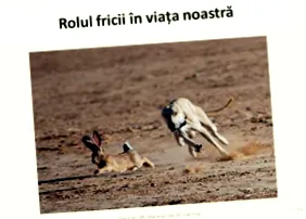 öregség