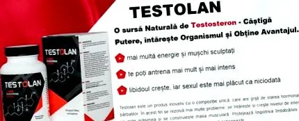 мислења testolan