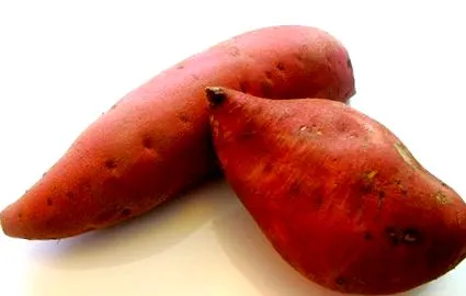 tartalmazó