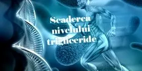 triglicerid szintet