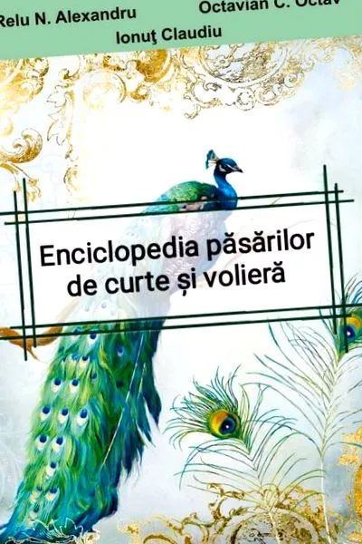 tratamiento tratamiento