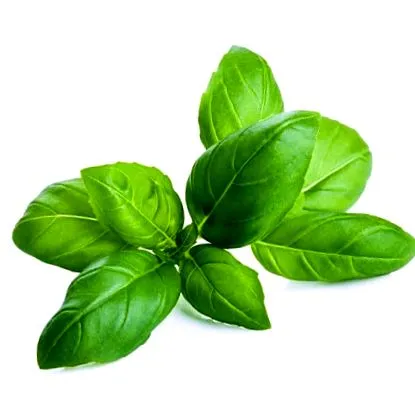 illóolaj
