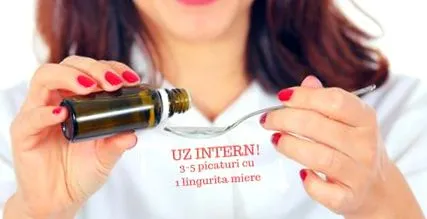 belső
