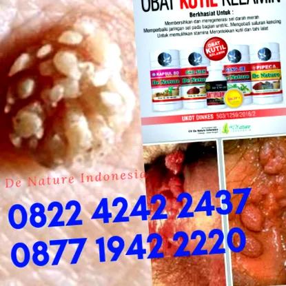 kutil