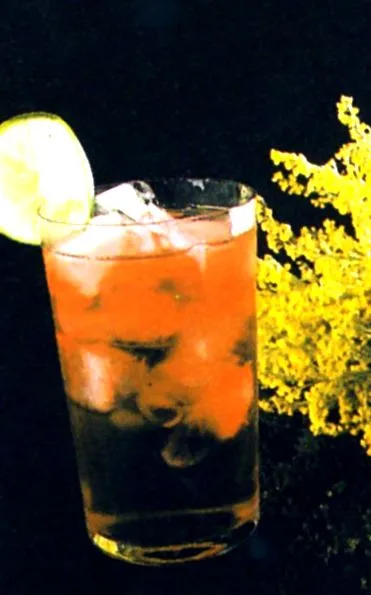 recipes recipes