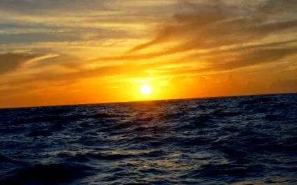 прекрасна морска