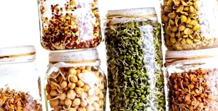 покълване recipehunter