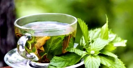 калории можете