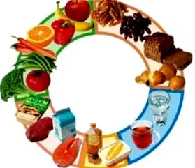 b2-vitamin