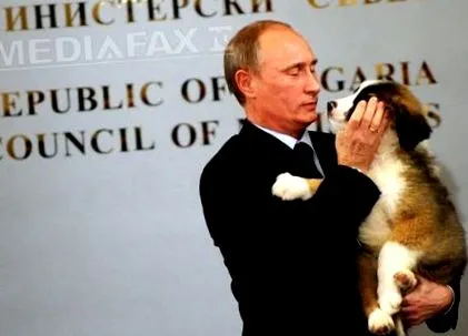 putyin putyin
