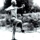 szerepe