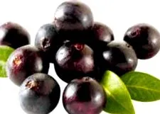berry
