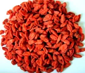 goji bogyókról