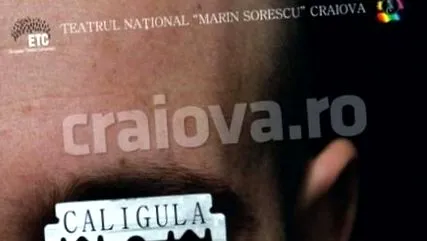 popovici liternet