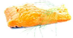 táplálkozás