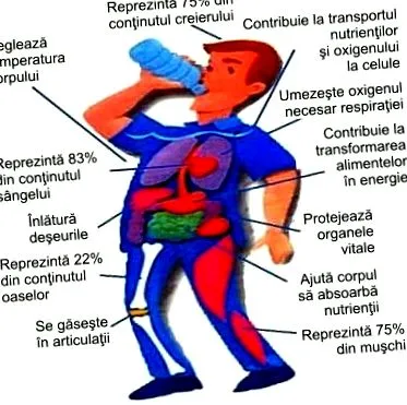 legfontosabb