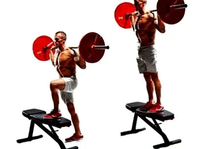 edzés quadriceps