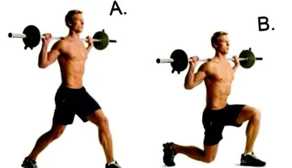 quadriceps quadriceps