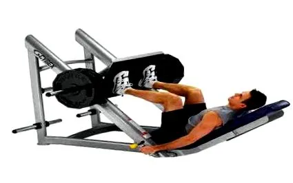 quadriceps kezdő