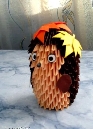 hedgehog tervezés