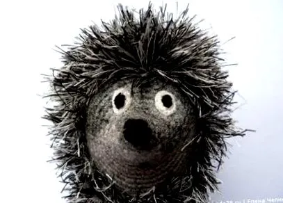 hedgehog moduláris