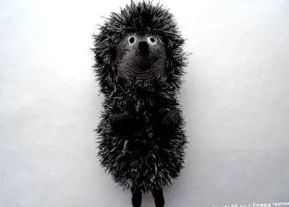 lépésről hedgehog