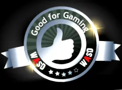 gamer