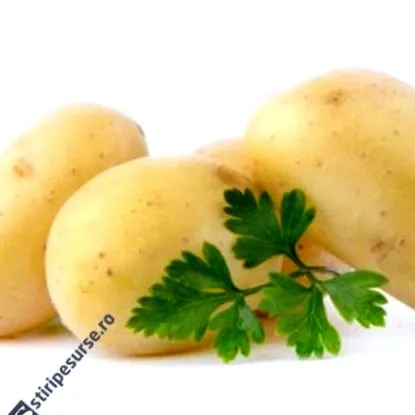 austrálčan
