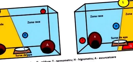 написи