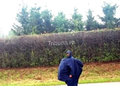 цирјан уште