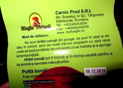 gárda