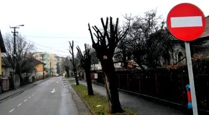 маре